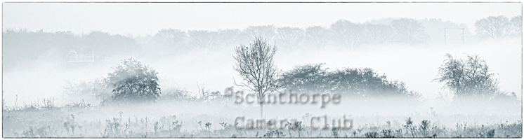 November mist by Janet Tierney