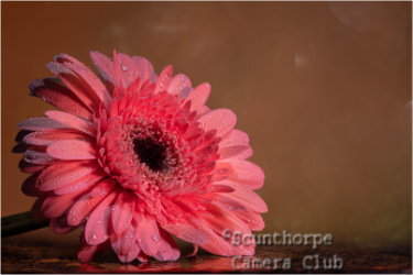 Pretty in pink