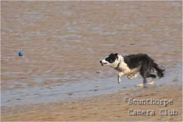Racing to catch the ball 