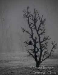 The hour before morning