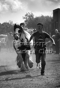 Running the mare