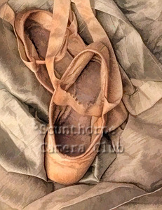 Ballet shoes