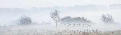 Mist, far ings 