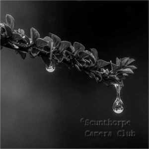 Competition Gallery Archive