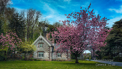  Spring has Arrived 