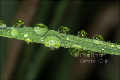  ''Raindrops'' 