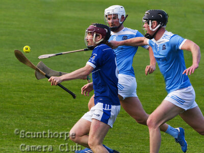 Hurling Sticks