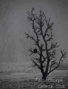 The hour before morning 