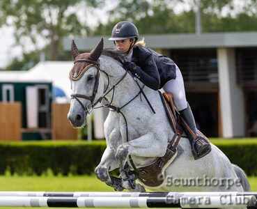 Grey Jumping The Bars 