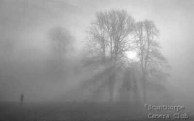 Early Mist 
